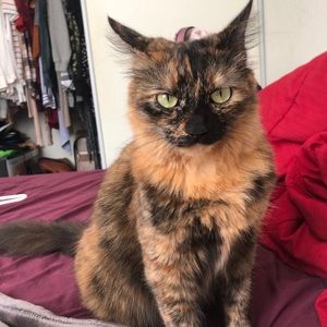 Meet your Posher, Sean